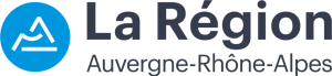Logo Région Bleu Gris